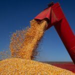 O avanço foi puxado pela produção de grãos, com destaque para o milho, que cresceu 22,4% (Foto: Tony Oliveira/CNA)