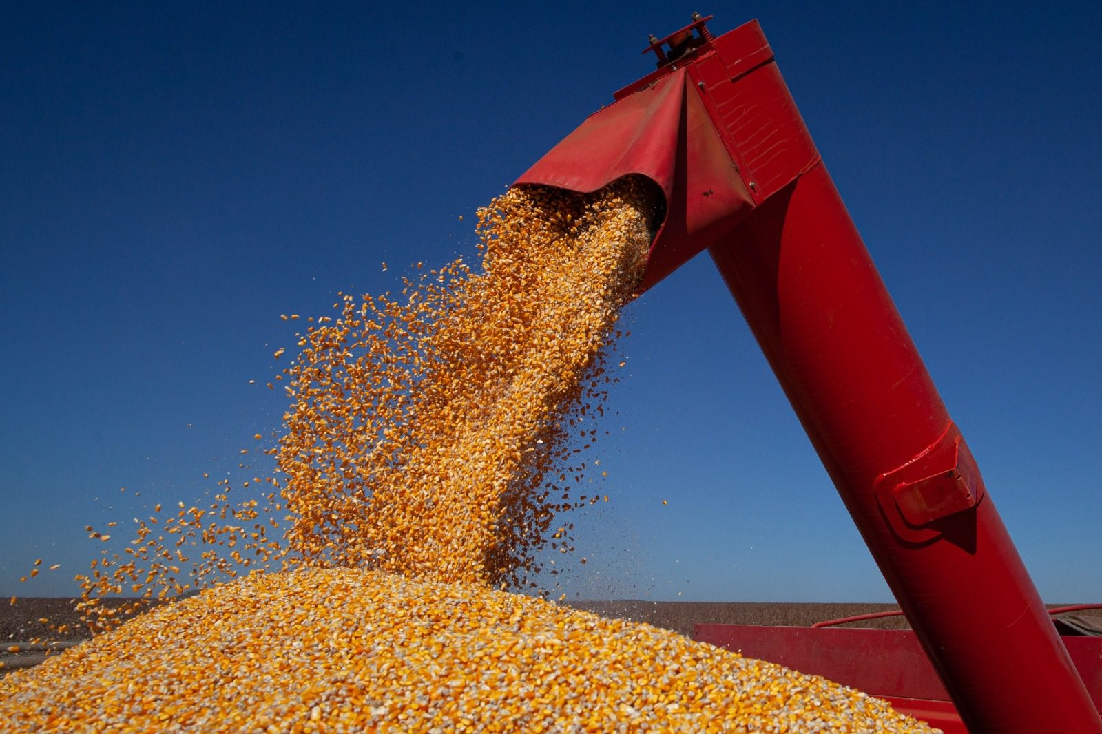 O avanço foi puxado pela produção de grãos, com destaque para o milho, que cresceu 22,4% (Foto: Tony Oliveira/CNA)
