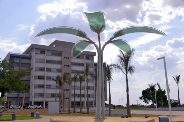 Encontro define detalhes do Dia do Cooperativismo em Aparecida. (Divulgação/ Prefeitura de Aparecida de Goiânia)