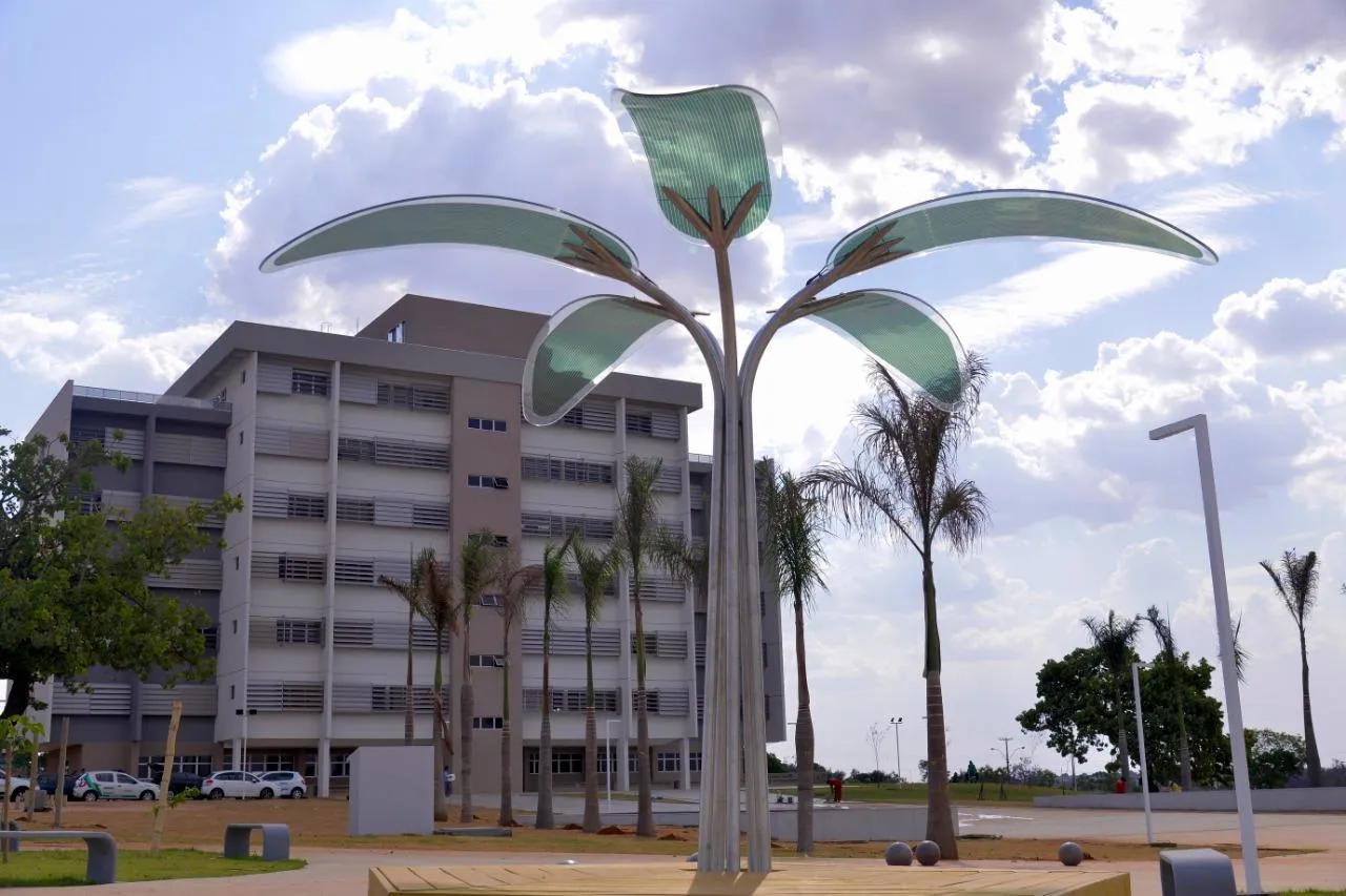 Encontro define detalhes do Dia do Cooperativismo em Aparecida. (Divulgação/ Prefeitura de Aparecida de Goiânia)